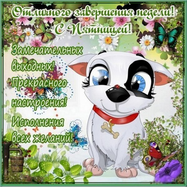 Хорошего пятничного дня и отличного настроения