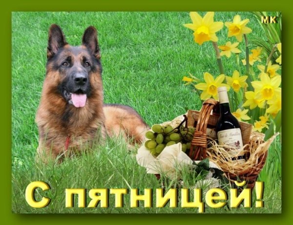 Доброе утро пятницы