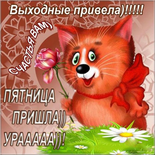 Доброе утро пятницы пожелания