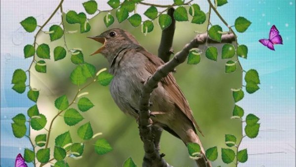 Соловей Соловушка Дмитрий Воскресенский