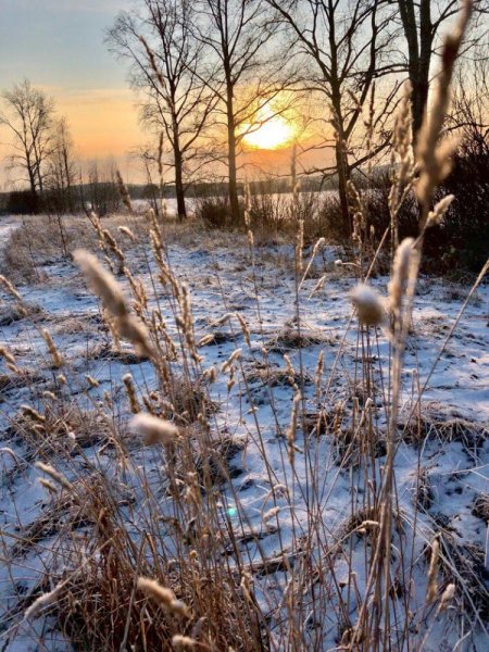 Поздняя Весна