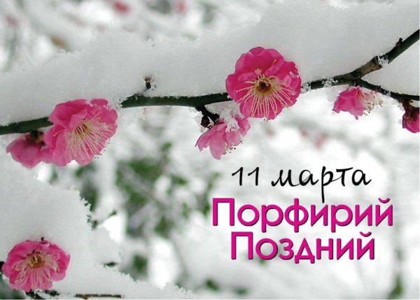 Доброе утро с птичками