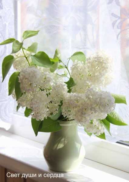 Доброе утро с первым днем весны