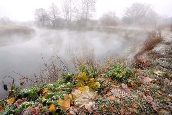 Открытка с добрым утром оттепель