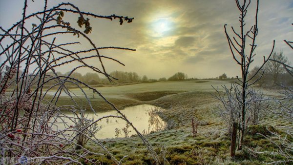 Весенний пейзаж