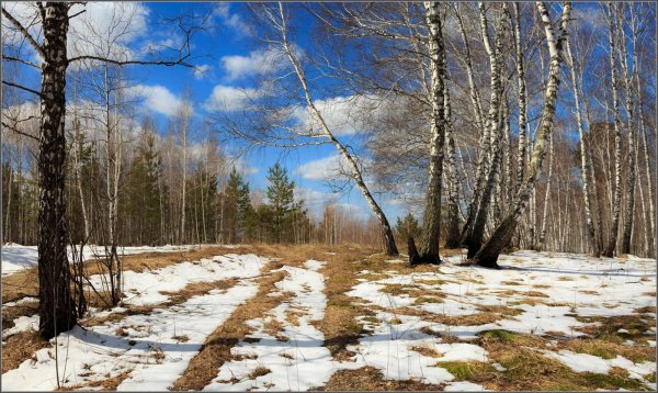 Красота русской природы