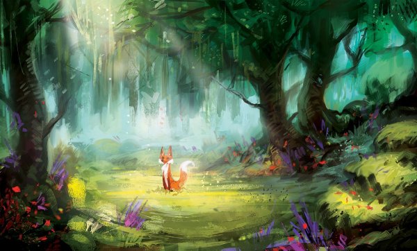 Сказочные пейзажи леса