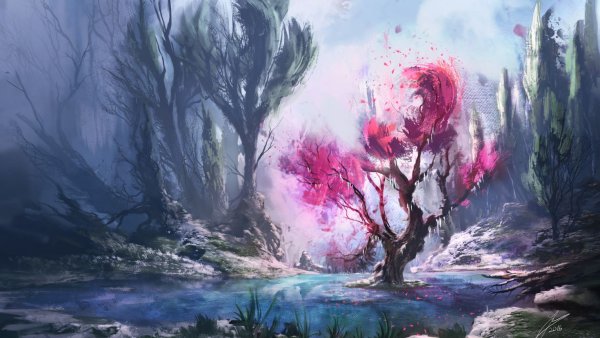 Волшебный лес