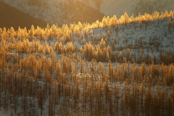 Весенняя Якутская природа