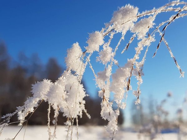 Ранняя Весна в Якутии