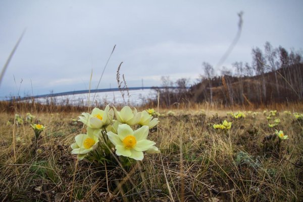 Весна в Якутии