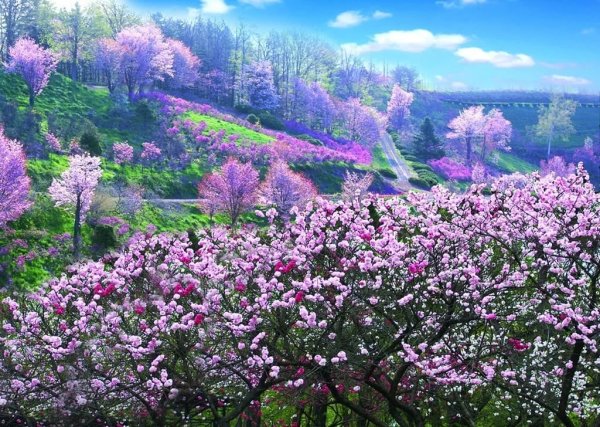 Весенний пейзаж