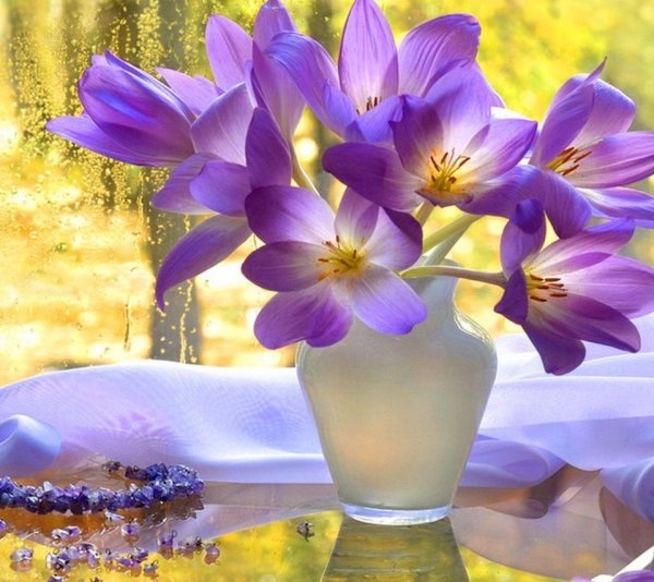 Добрый день среда Весна