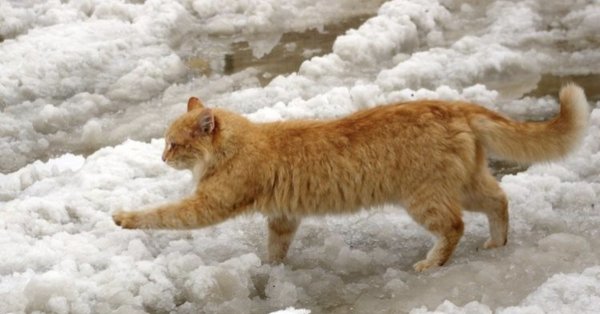 Скоро Весна скоро