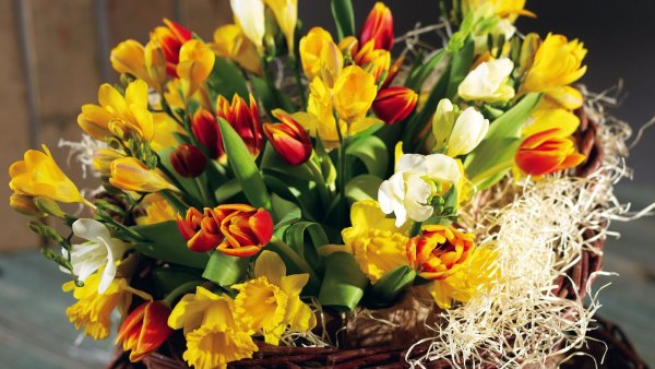 Тюльпаны и нарциссы букет