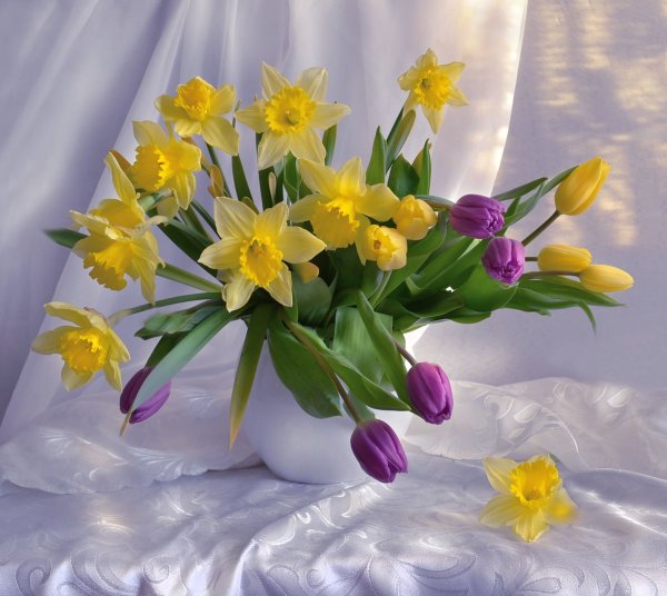Букет невесты из тюльпанов и ирисов