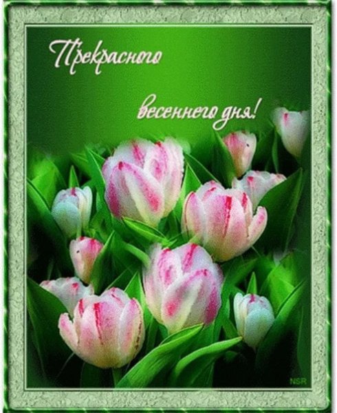 Хорошего весеннего дня