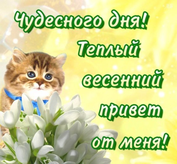 С добрым весенним солнечным утром
