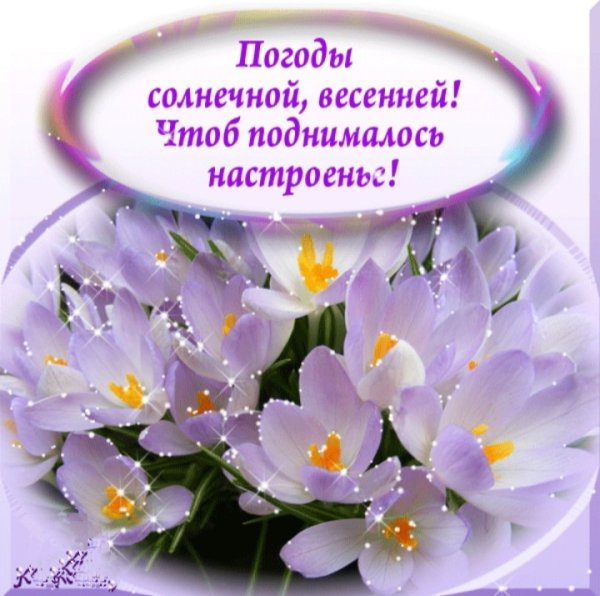 Весенний приветик и хорошего настроения