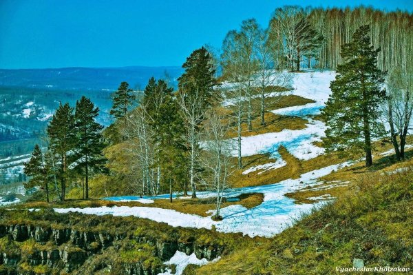 Сибирь апрельский лес