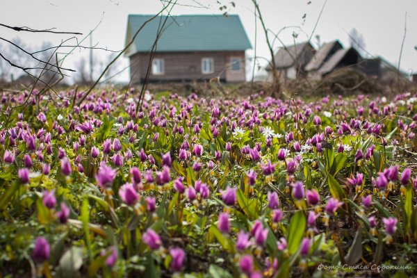 Весна в Сибири