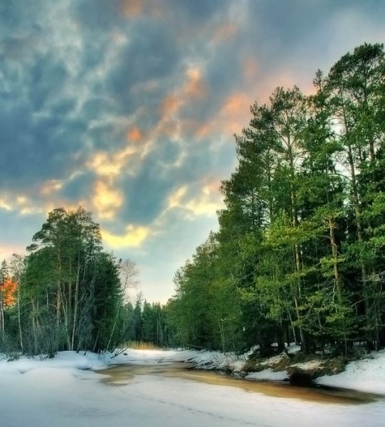 Весна в тайге