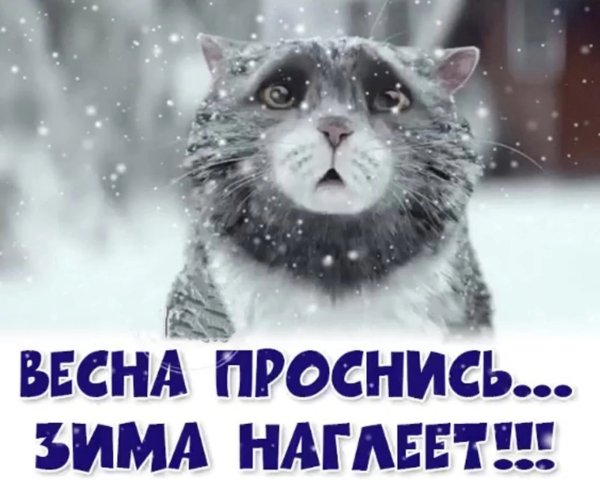 Опять зима весной