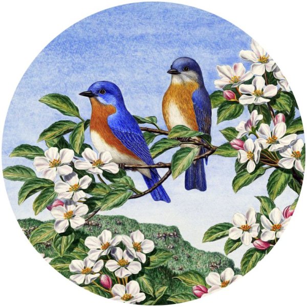 Времена года значки