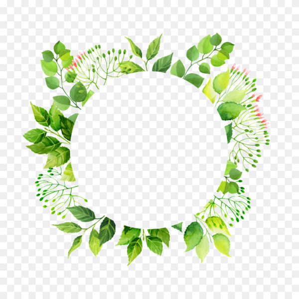 Акварельные цветы для логотипа