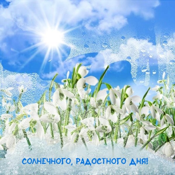 Солнечного весеннего утра с надписями