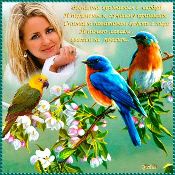 Открытки с солнечным весенним днем