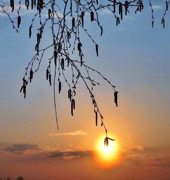 Рассвет ранней весной