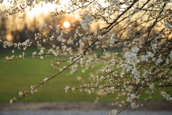 Солнечный апрель