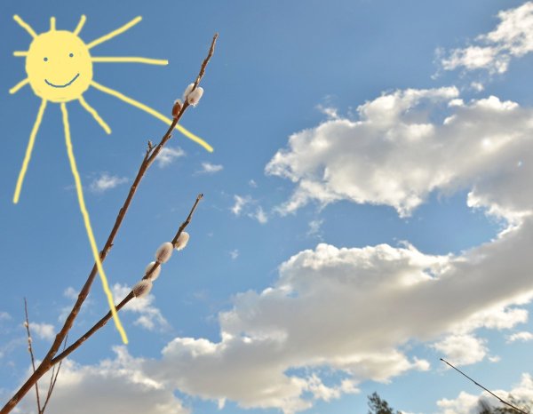 Ранняя Весна птички