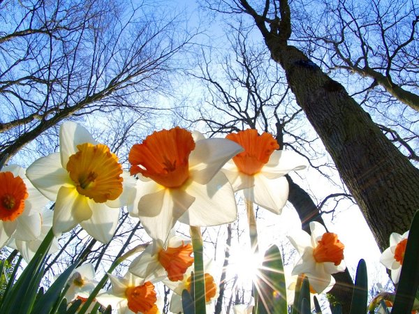 Весна тает снег