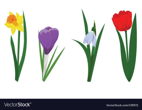 Вырезки для детей весенние цветы