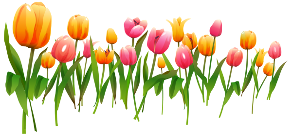 Тюльпаны мультяшные