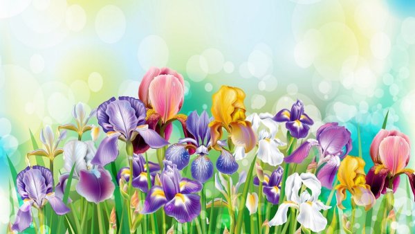 Тюльпан для детей