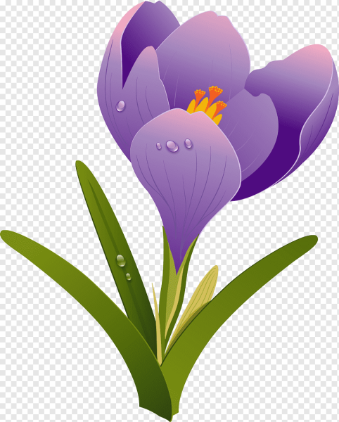 Весенние цветы мультяшные