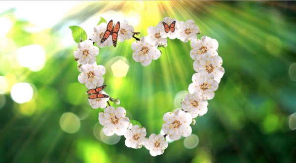 Весеннее настроение любовь