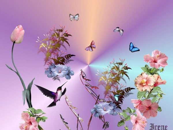 Добрые пожелания с бабочками