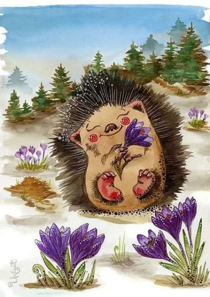 Ежик проснулся