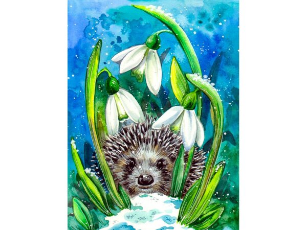 Ежи просыпаются