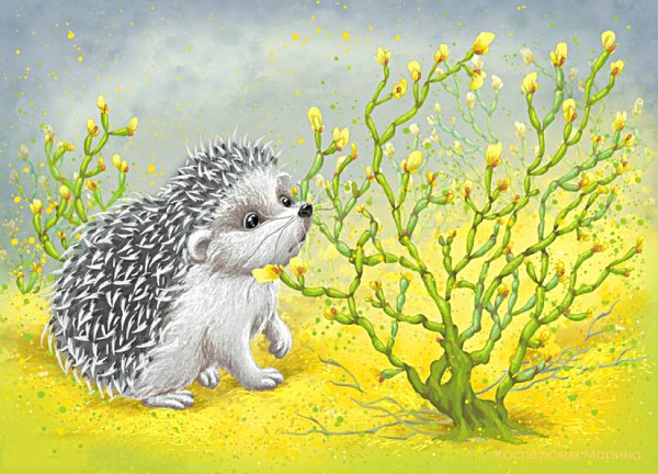 Еж в зимней спячке