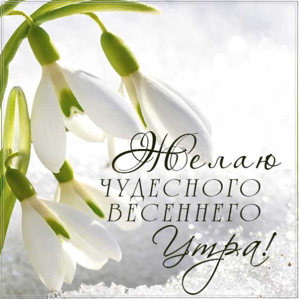 Открытка «Весна»