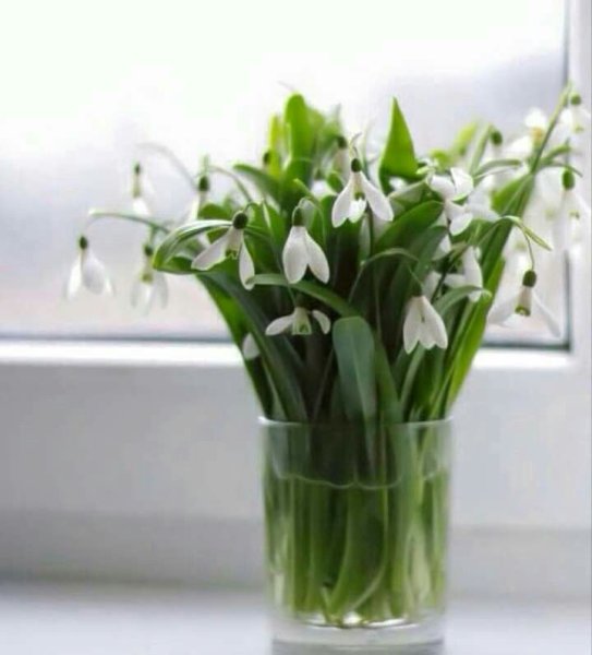 Весенние цветы в вазе