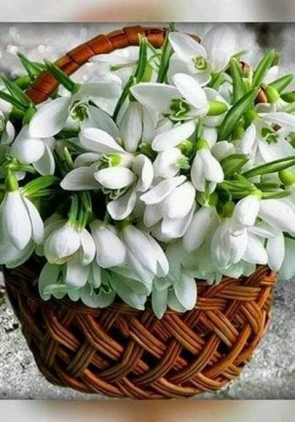 Открытка «Весна»