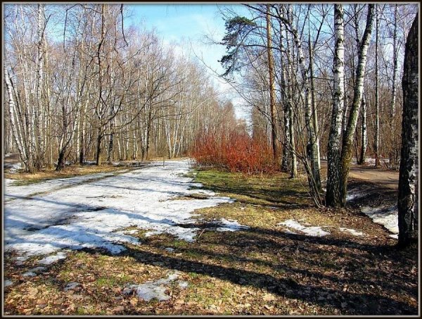 Весна таяние снега