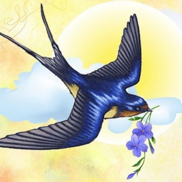 Весенние ласточки