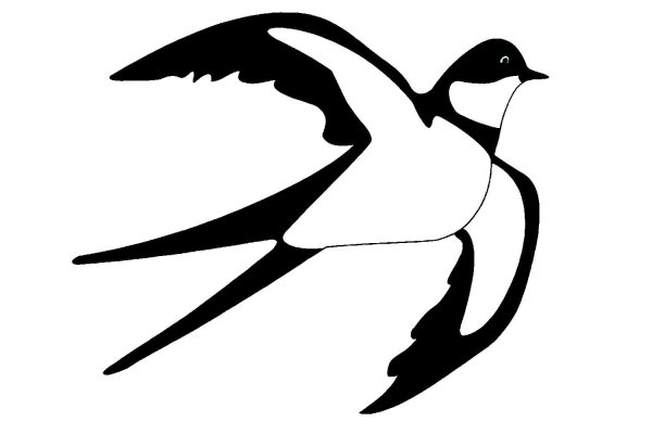 Трафарет птицы